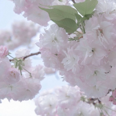 Furry绘画改稿灵感Furry群